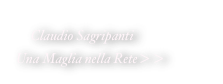     Claudio Sagripanti
Una Maglia nella Rete>>